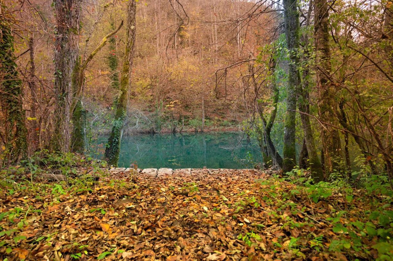 Ecotourism Mrežnica Mreznica Exterior foto