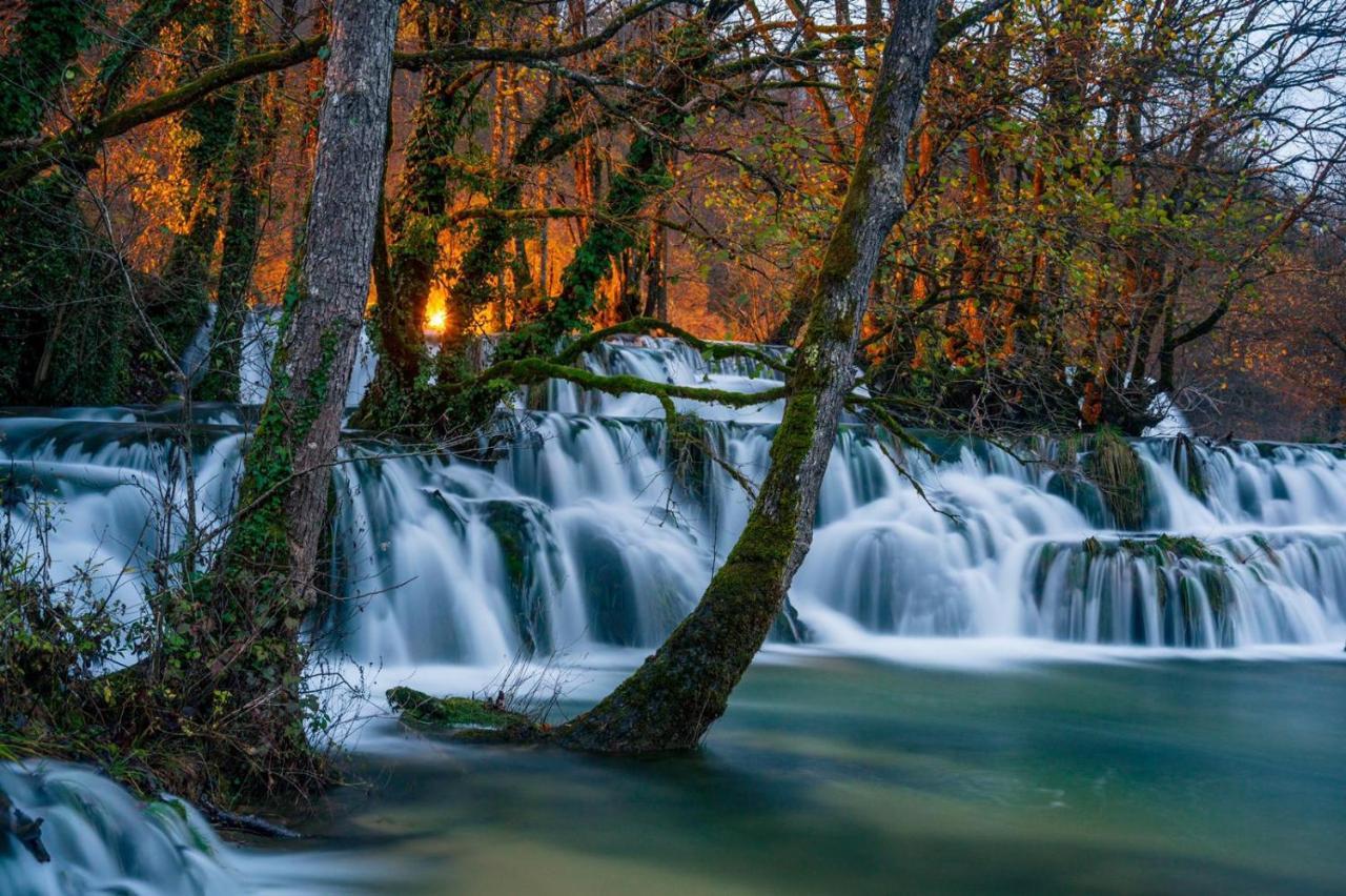 Ecotourism Mrežnica Mreznica Exterior foto