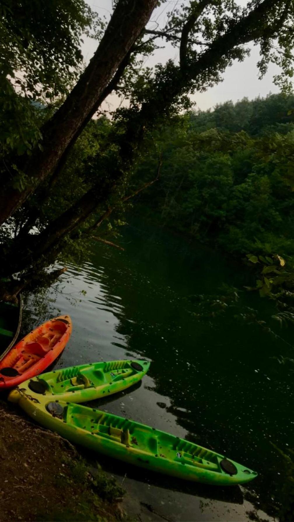Ecotourism Mrežnica Mreznica Exterior foto